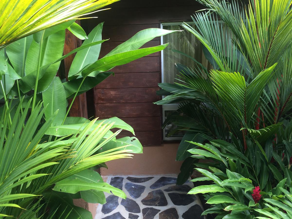 Mussaenda, Arenal Hotel La Fortuna Exterior photo