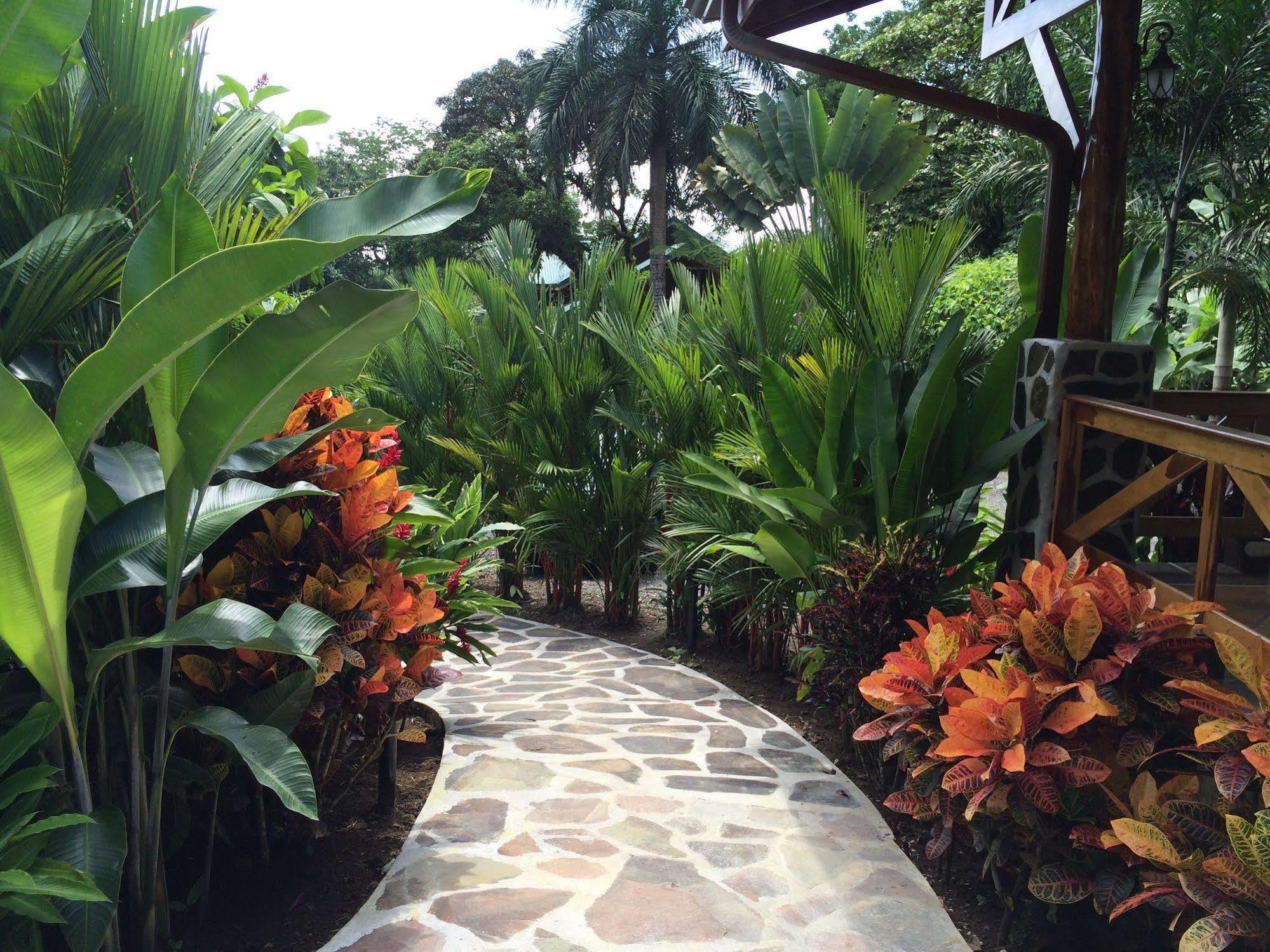 Mussaenda, Arenal Hotel La Fortuna Exterior photo