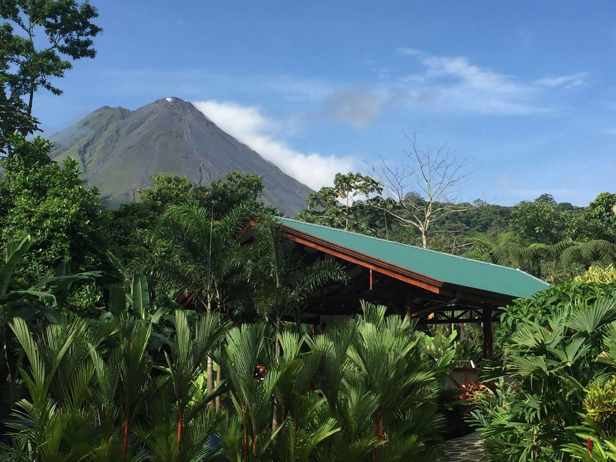 Mussaenda, Arenal Hotel La Fortuna Exterior photo