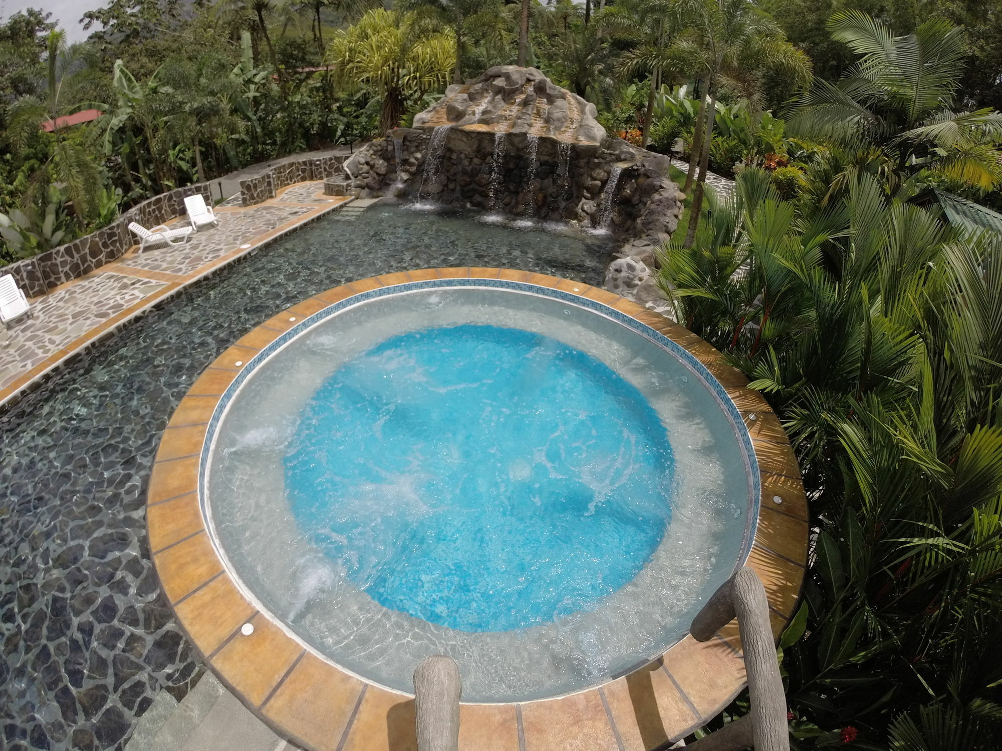Mussaenda, Arenal Hotel La Fortuna Exterior photo