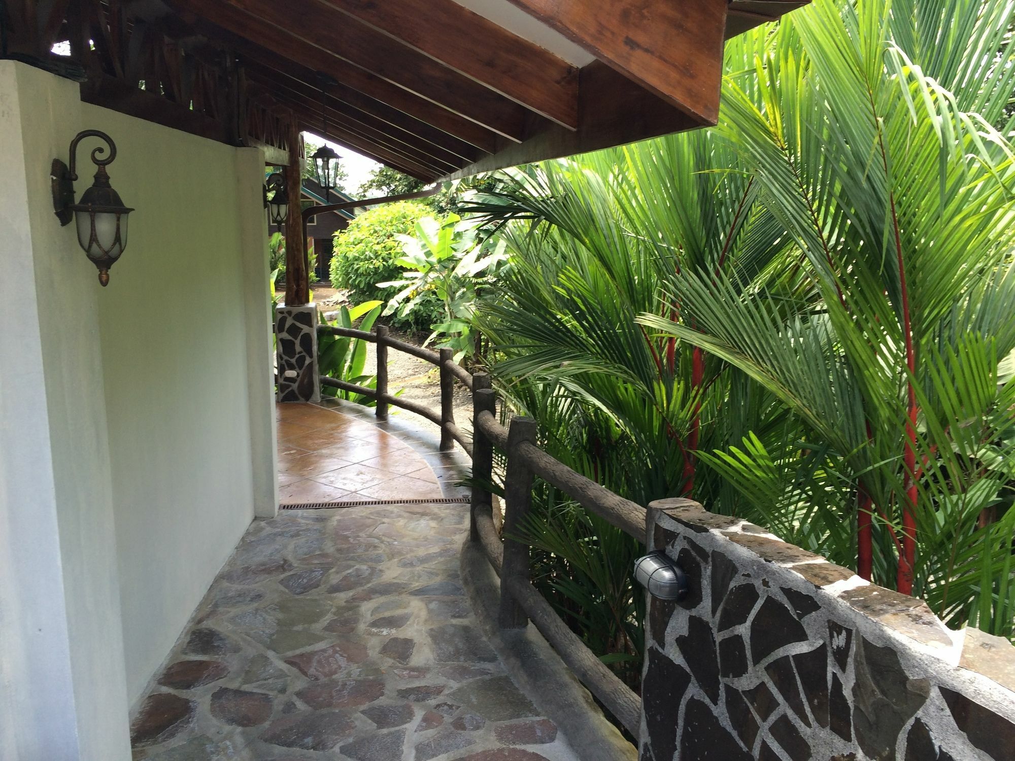 Mussaenda, Arenal Hotel La Fortuna Exterior photo